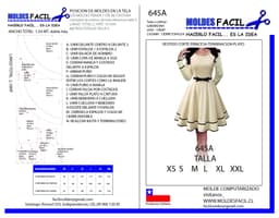 Vestido Corte Princesa Y Terminaciones Plato - vista 1